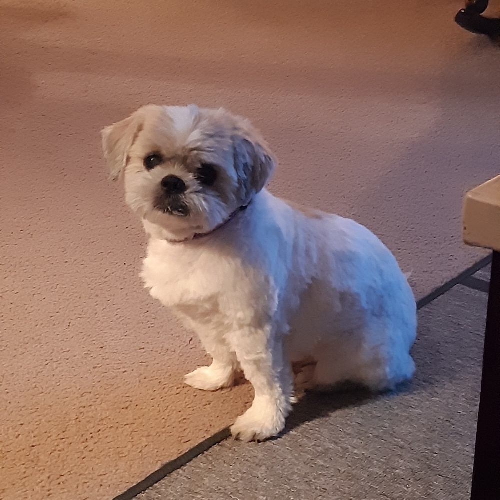 Meet your Posher, Becky